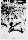Edna-Album-39
